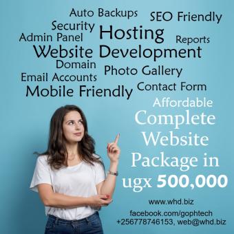 Complete Website Package in 500k by whd.biz
