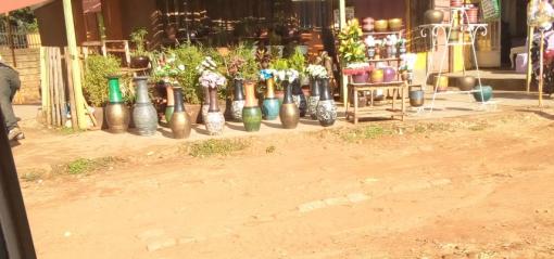Flower pots and vases
