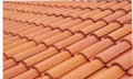 Portuguese Roofs