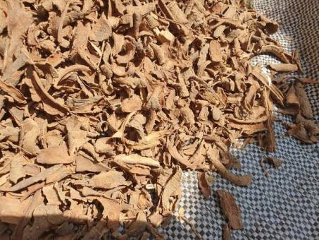QUALITY IBOGA ROOT BARK SUPPLIERS +27788473142 GERMANY, NORWAY, IRELAND